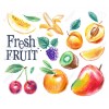 Vers fruit handsinaasappel